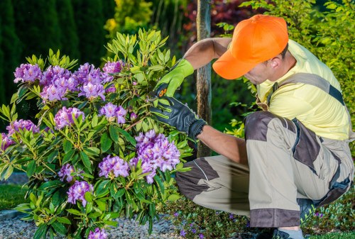 Garden clearance professionals removing debris in Osterley