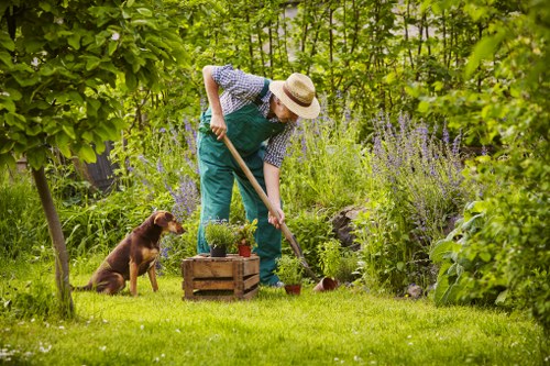 Team assessing a suburban garden for a free quote